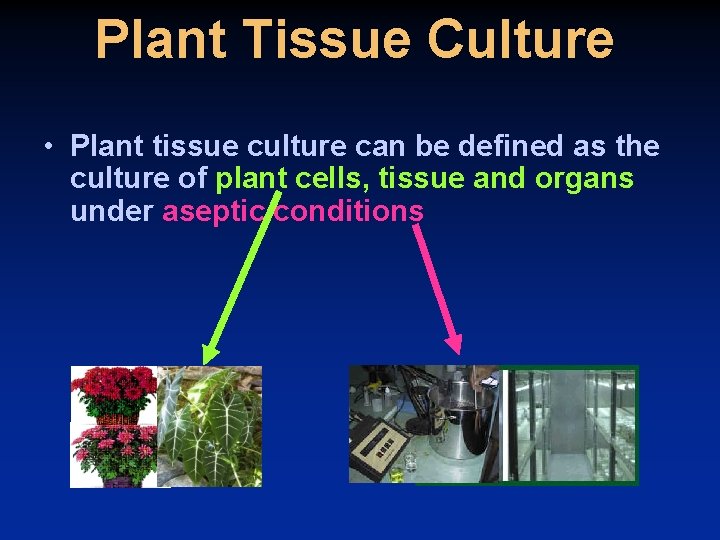 Plant Tissue Culture • Plant tissue culture can be defined as the culture of