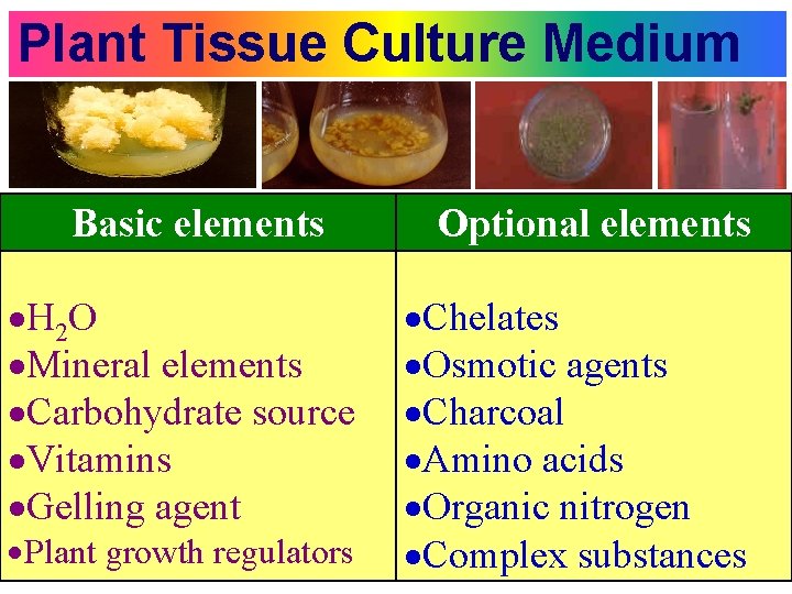 Plant Tissue Culture Medium Basic elements H 2 O Mineral elements Carbohydrate source Vitamins