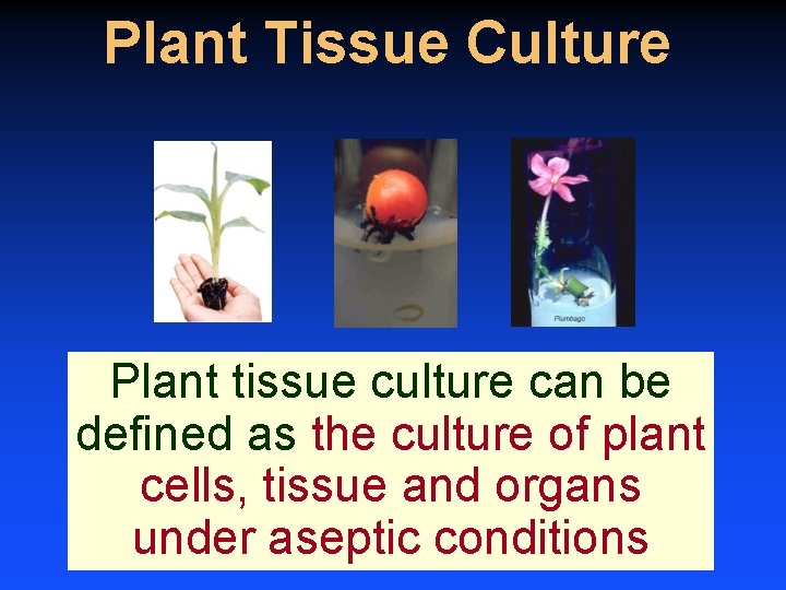 Plant Tissue Culture Plant tissue culture can be defined as the culture of plant
