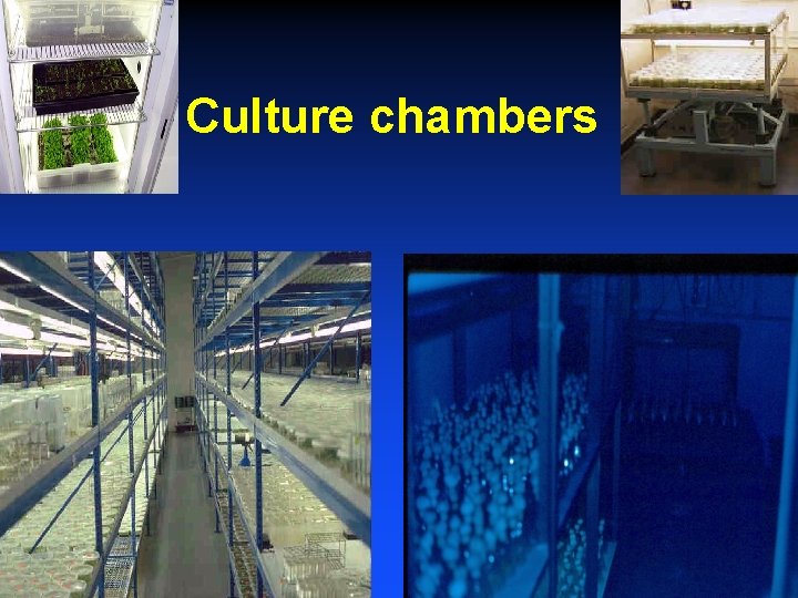 Culture chambers 