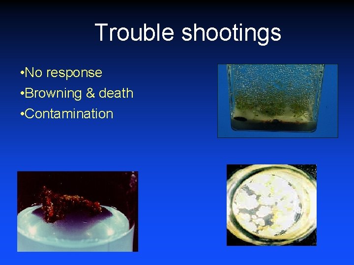 Trouble shootings • No response • Browning & death • Contamination 