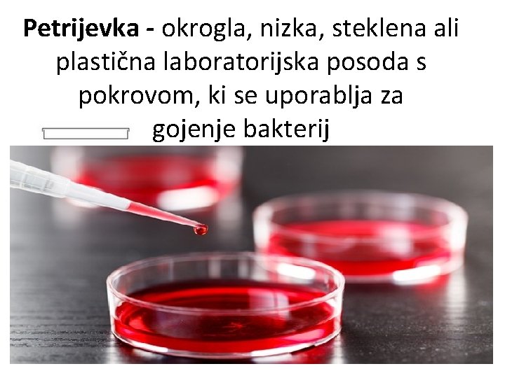 Petrijevka - okrogla, nizka, steklena ali plastična laboratorijska posoda s pokrovom, ki se uporablja