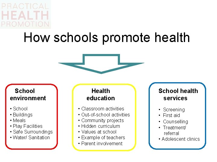 How schools promote health School environment • School • Buildings • Meals • Play