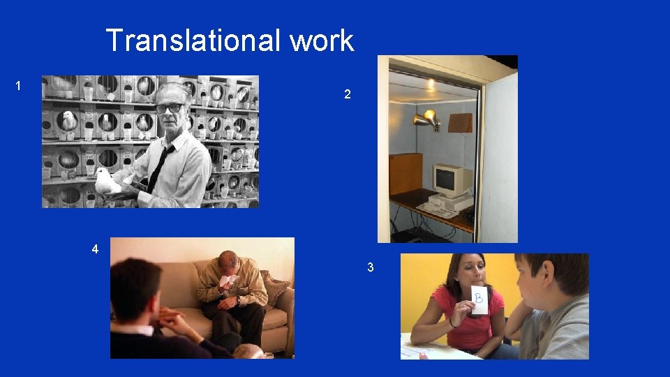 Translational work 1 2 4 3 