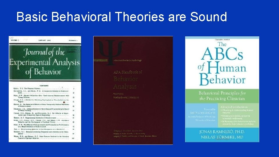 Basic Behavioral Theories are Sound 