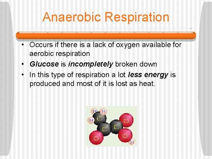 Anaerobic Respiration • Occurs if there is a lack of oxygen available for aerobic