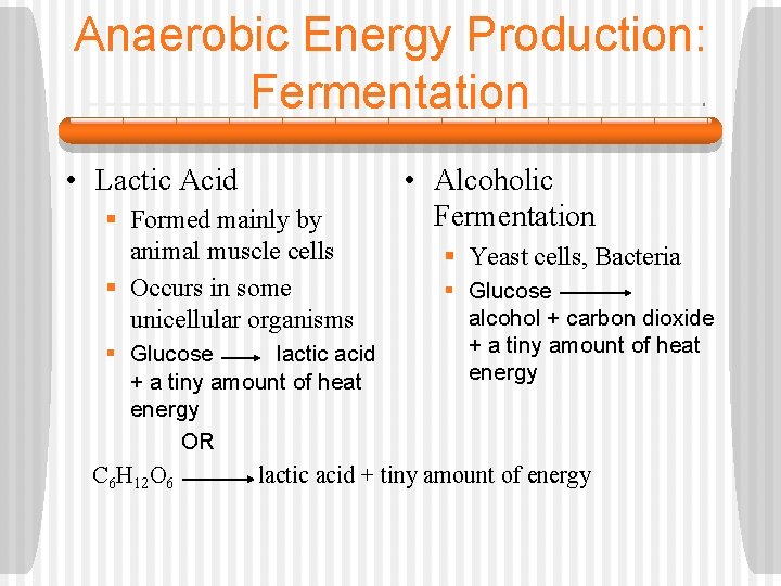 Anaerobic Energy Production: Fermentation • Lactic Acid § Formed mainly by animal muscle cells