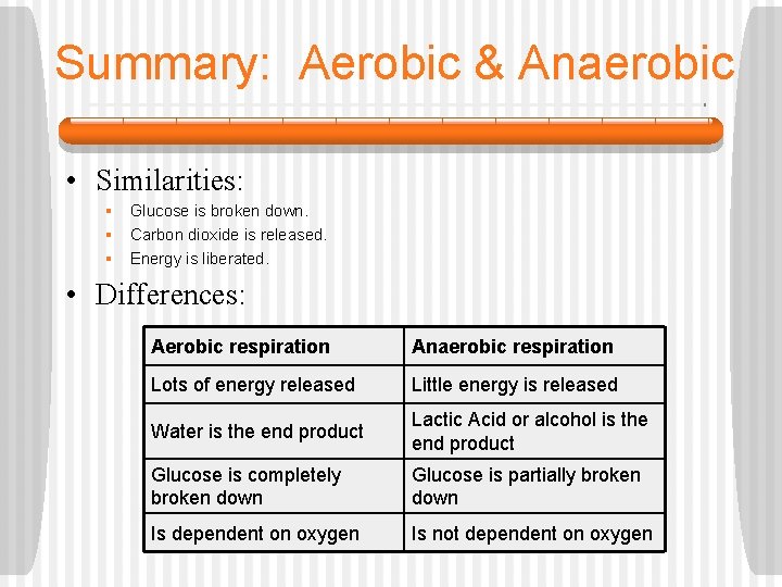 Summary: Aerobic & Anaerobic • Similarities: § Glucose is broken down. § Carbon dioxide