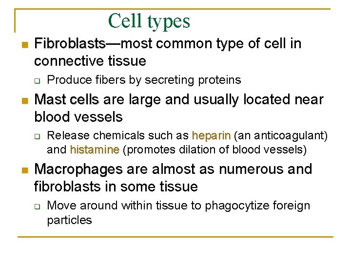 Cell types n Fibroblasts—most common type of cell in Fibroblasts connective tissue q n