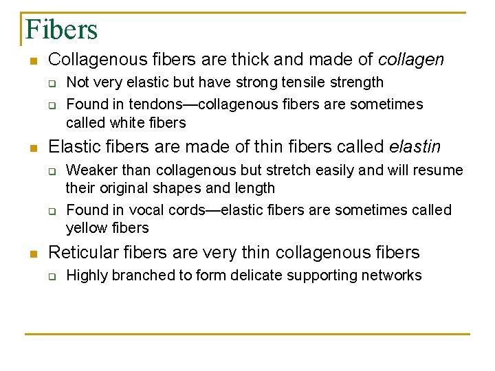 Fibers n Collagenous fibers are thick and made of collagen q q n Elastic