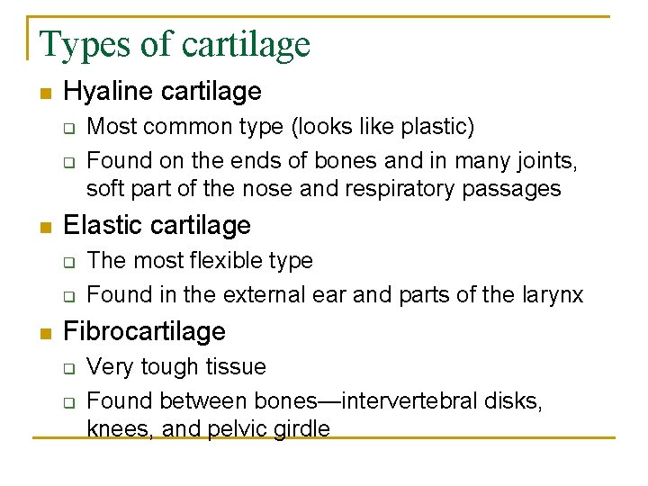 Types of cartilage n Hyaline cartilage q q n Elastic cartilage q q n