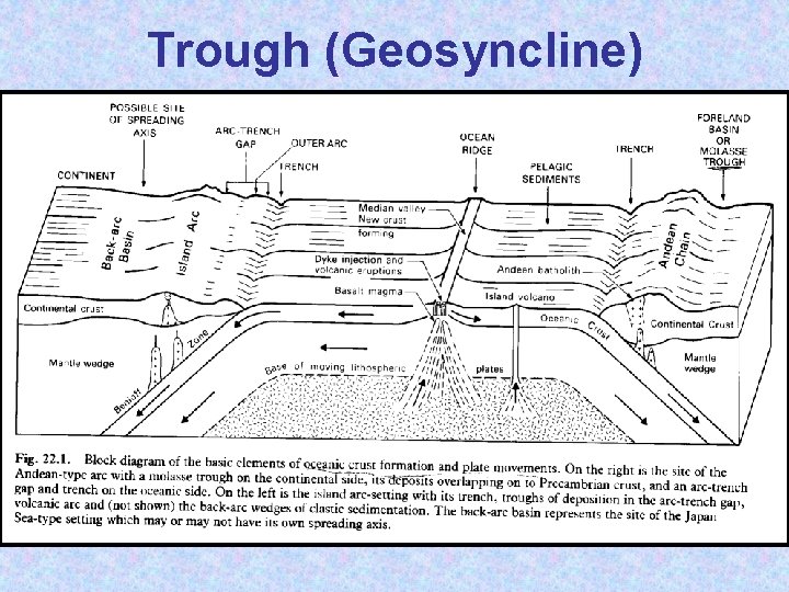 Trough (Geosyncline) 