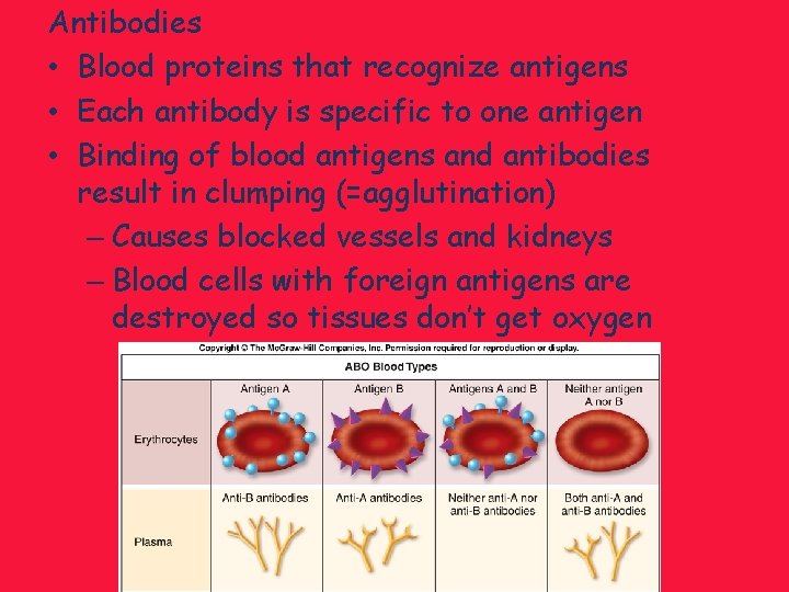 Antibodies • Blood proteins that recognize antigens • Each antibody is specific to one