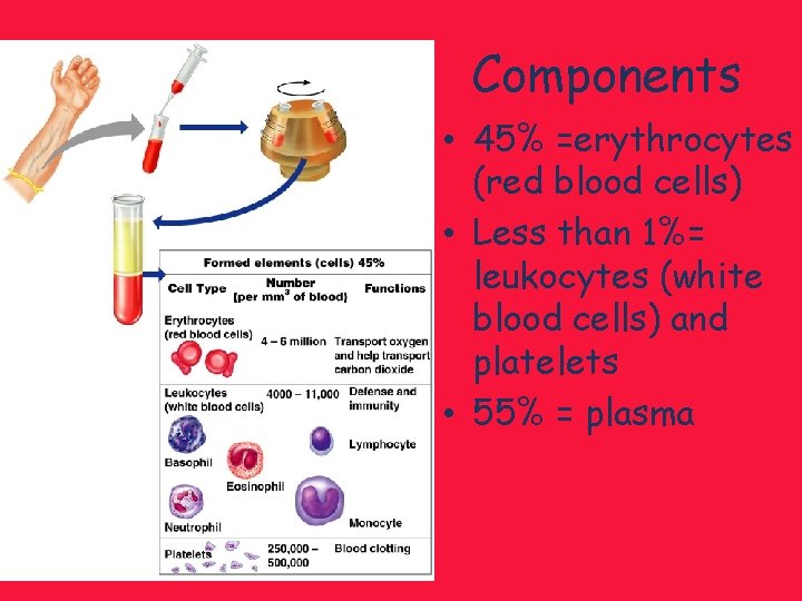 Components • 45% =erythrocytes (red blood cells) • Less than 1%= leukocytes (white blood