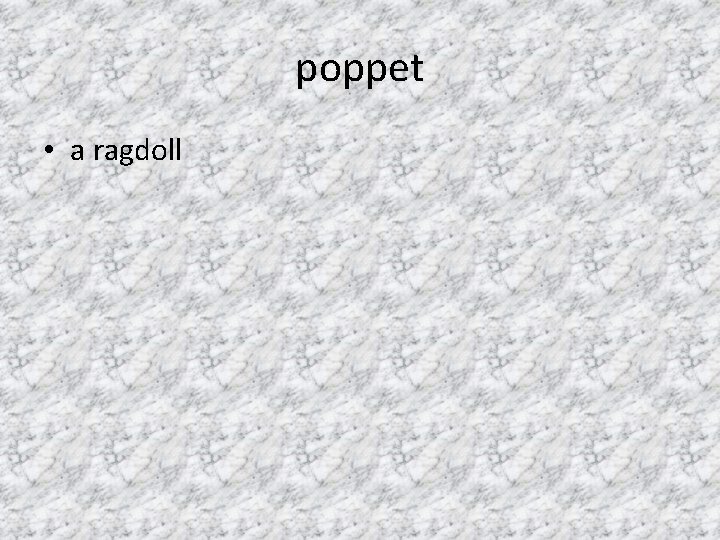 poppet • a ragdoll 