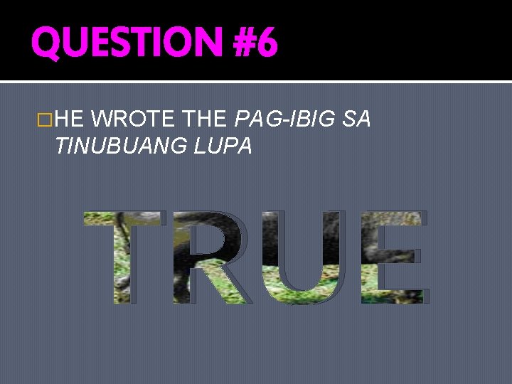 QUESTION #6 �HE WROTE THE PAG-IBIG SA TINUBUANG LUPA TRUE 