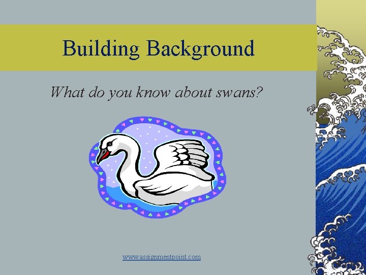 Building Background What do you know about swans? www. assignmentpoint. com 