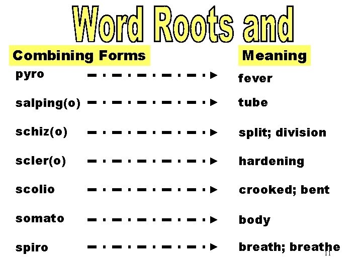 Word Roots and Combining Forms Meaning Forms [PYRO] pyro fever salping(o) tube schiz(o) split;