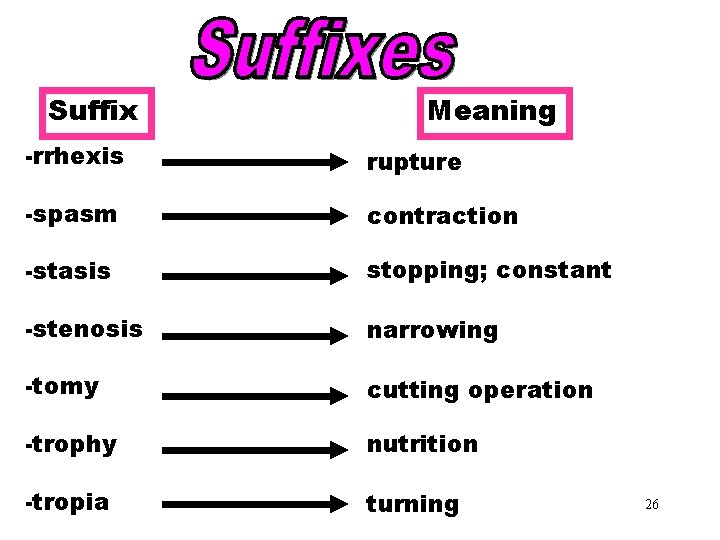 Suffixes (rrhexis-tropia) Meaning -rrhexis rupture -spasm contraction -stasis stopping; constant -stenosis narrowing -tomy cutting