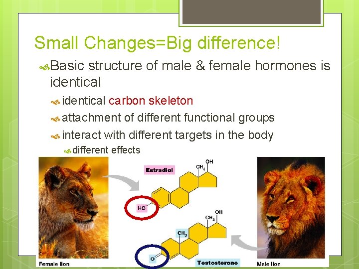 Small Changes=Big difference! Basic structure of male & female hormones is identical carbon skeleton