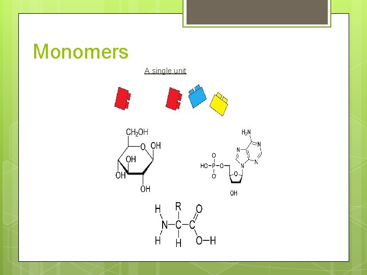 Monomers A single unit 