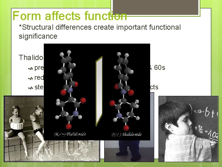 Form affects function *Structural differences create important functional significance Thalidomide prescribed to pregnant women