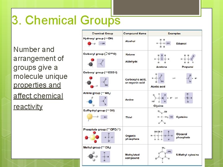 3. Chemical Groups Number and arrangement of groups give a molecule unique properties and