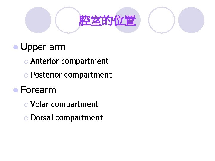 腔室的位置 l Upper arm ¡ Anterior compartment ¡ Posterior compartment l Forearm ¡ Volar