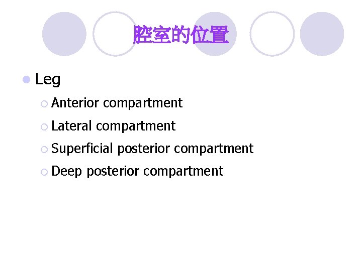 腔室的位置 l Leg ¡ Anterior ¡ Lateral compartment ¡ Superficial ¡ Deep posterior compartment