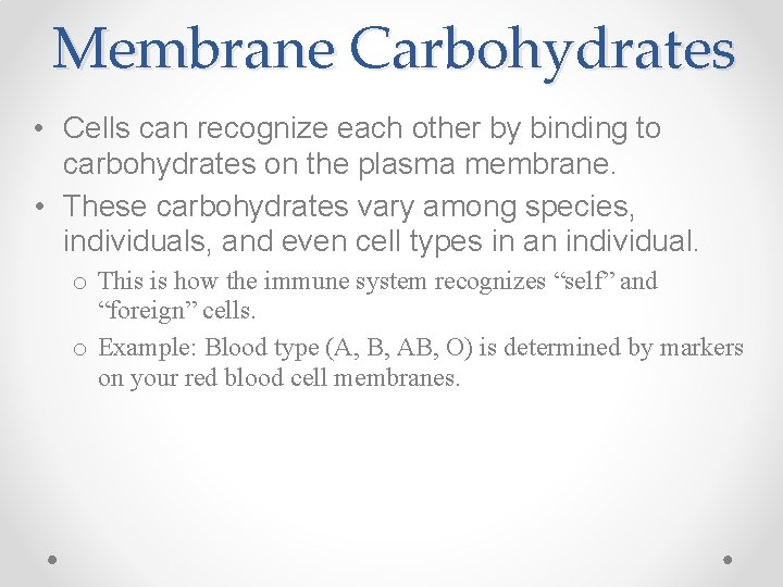 Membrane Carbohydrates • Cells can recognize each other by binding to carbohydrates on the
