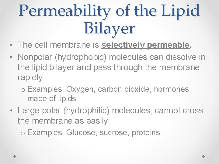 Permeability of the Lipid Bilayer • The cell membrane is selectively permeable. • Nonpolar