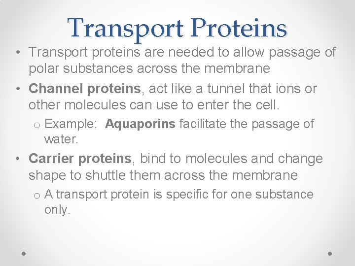 Transport Proteins • Transport proteins are needed to allow passage of polar substances across