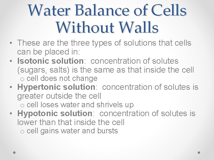 Water Balance of Cells Without Walls • These are three types of solutions that