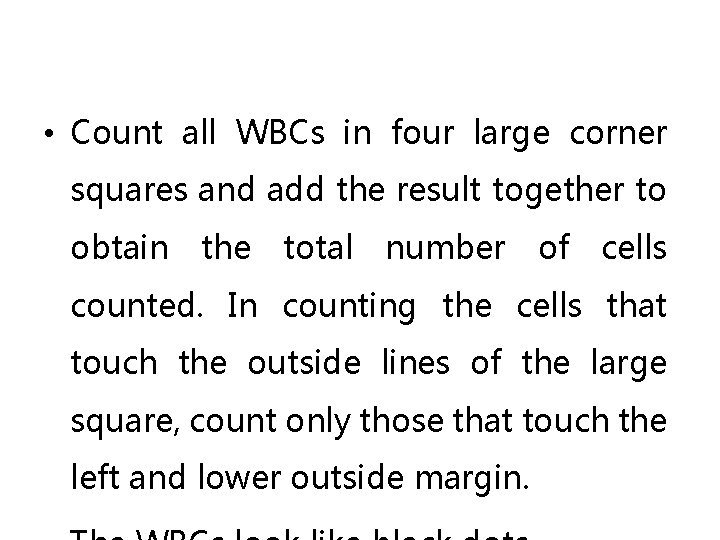  • Count all WBCs in four large corner squares and add the result