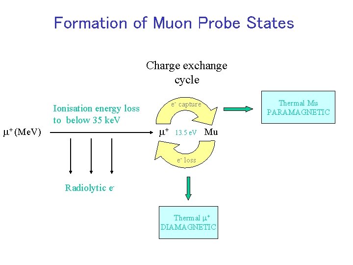 Formation of Muon Probe States Charge exchange cycle m+ (Me. V) Ionisation energy loss
