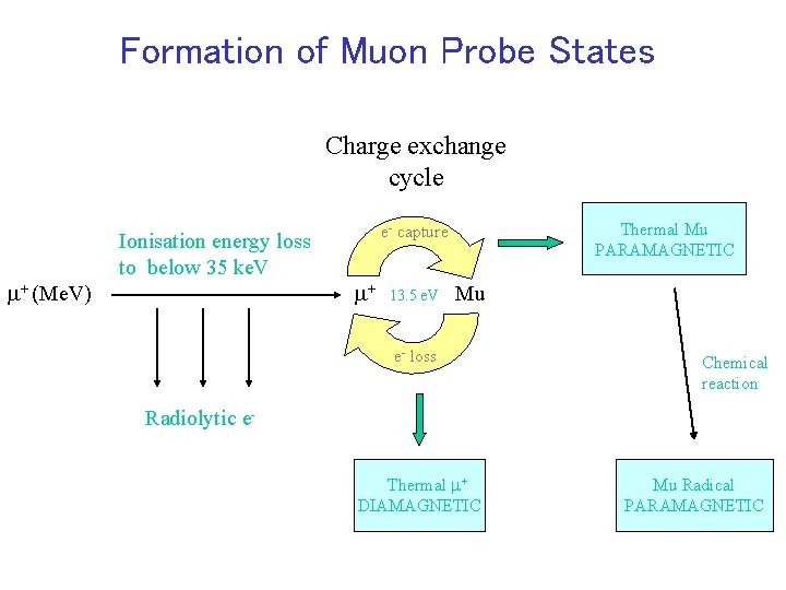 Formation of Muon Probe States Charge exchange cycle m+ (Me. V) Ionisation energy loss