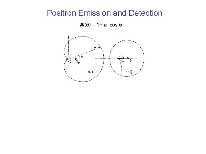 Positron Emission and Detection W(q) = 1+ a cos q 