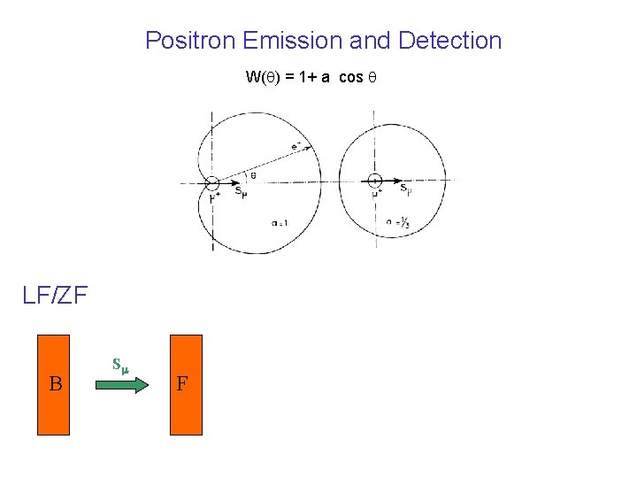 Positron Emission and Detection W(q) = 1+ a cos q LF/ZF B Sm F