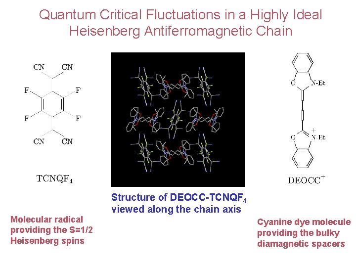 Quantum Critical Fluctuations in a Highly Ideal Heisenberg Antiferromagnetic Chain Molecular radical providing the