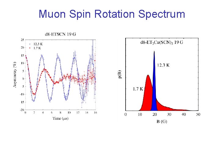 Muon Spin Rotation Spectrum 