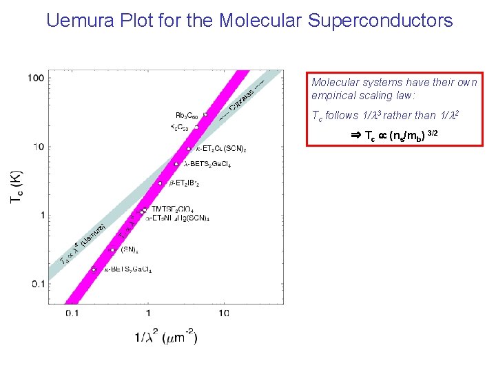 Uemura Plot for the Molecular Superconductors Molecular systems have their own empirical scaling law: