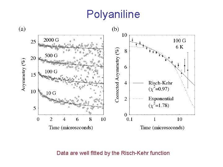 Polyaniline Data are well fitted by the Risch-Kehr function 