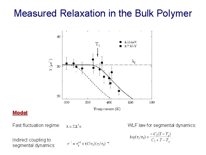 Measured Relaxation in the Bulk Polymer Model Fast fluctuation regime: Indirect coupling to segmental