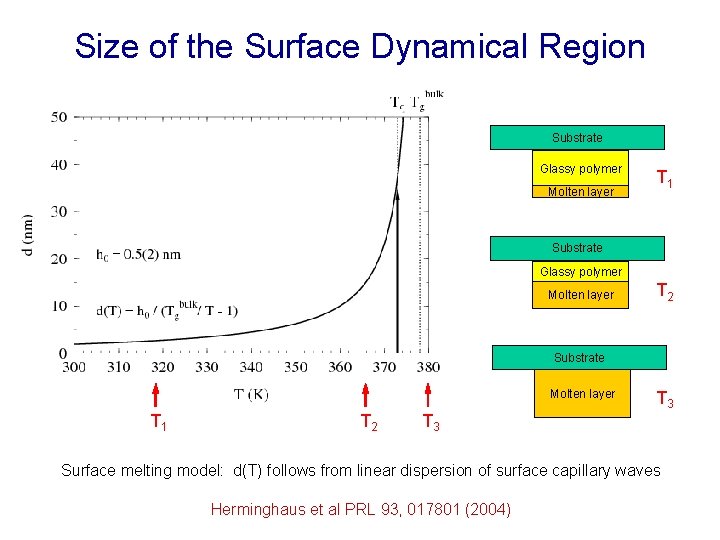 Size of the Surface Dynamical Region Substrate Glassy polymer Molten layer T 1 Substrate
