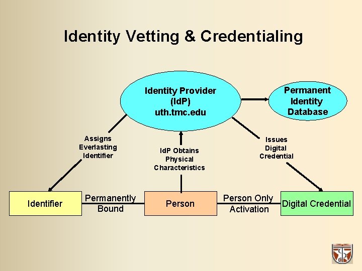 Identity Vetting & Credentialing Permanent Identity Database Identity Provider (Id. P) uth. tmc. edu