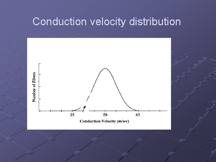 Conduction velocity distribution 