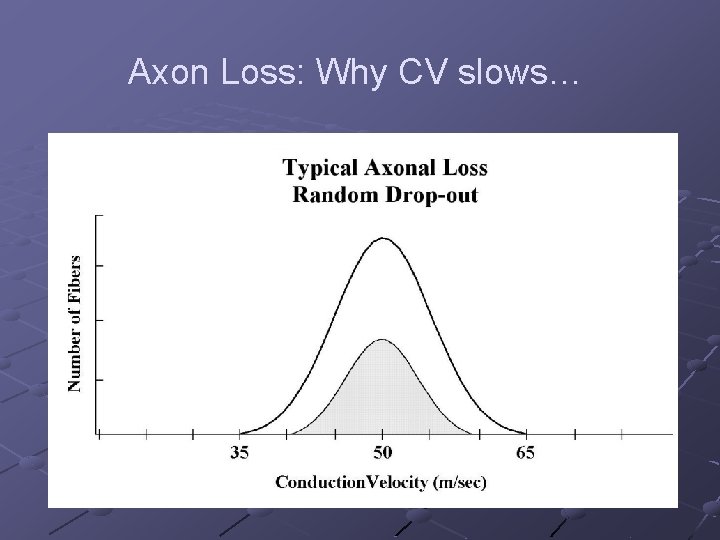 Axon Loss: Why CV slows… 