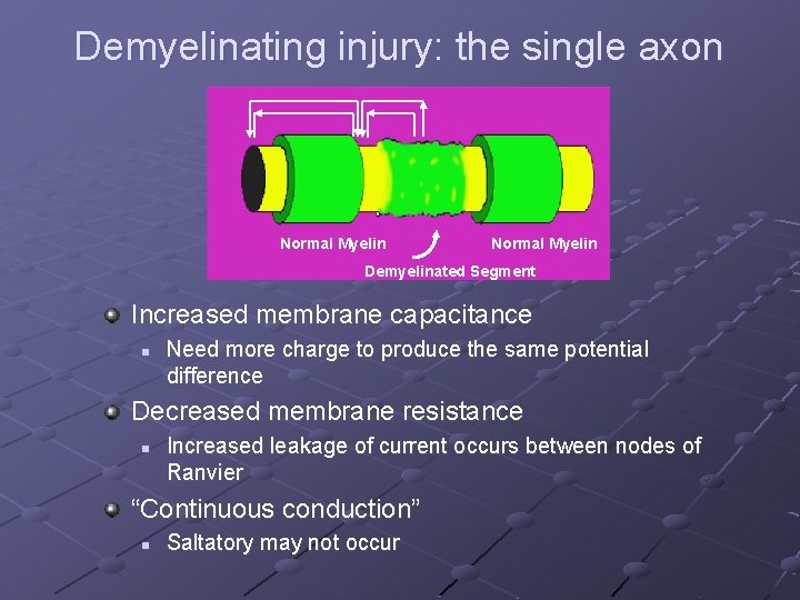 Demyelinating injury: the single axon Normal Myelin Demyelinated Segment Increased membrane capacitance n Need