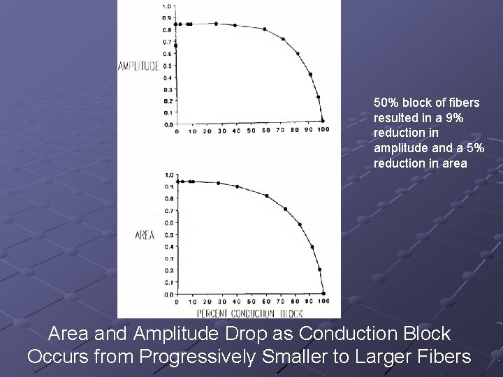 50% block of fibers resulted in a 9% reduction in amplitude and a 5%