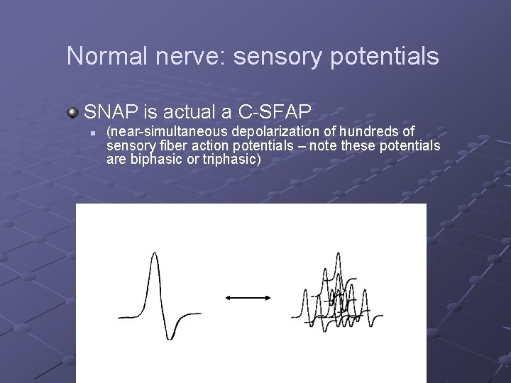 Normal nerve: sensory potentials SNAP is actual a C-SFAP n (near-simultaneous depolarization of hundreds